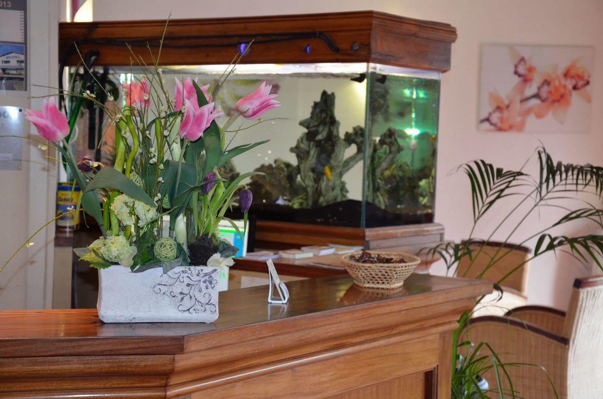 Hotel Aer Vieille-Toulouse ภายนอก รูปภาพ